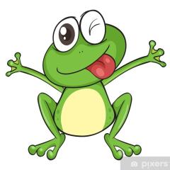 žabky